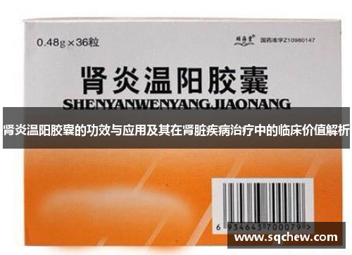 肾炎温阳胶囊的功效与应用及其在肾脏疾病治疗中的临床价值解析